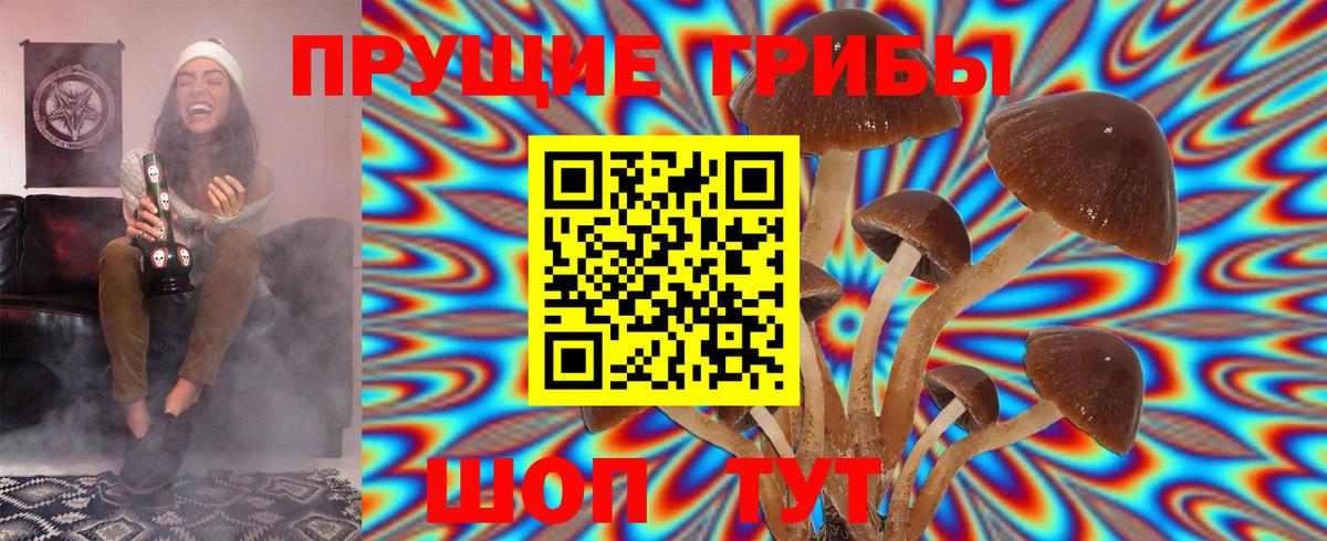 Псилоцибиновые грибы GOLDEN TEACHER Шарыпово