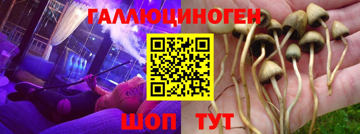 цены   Вход с VPN  Шарыпово  Галлюциногенные грибы Psilocybe 